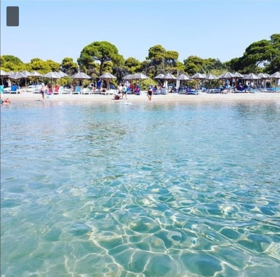 Athens Villa Artemis Pool Sea Airport Eksteriør billede